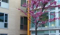 Residencia ancianos cataluña Amma Teià. Jardín interior